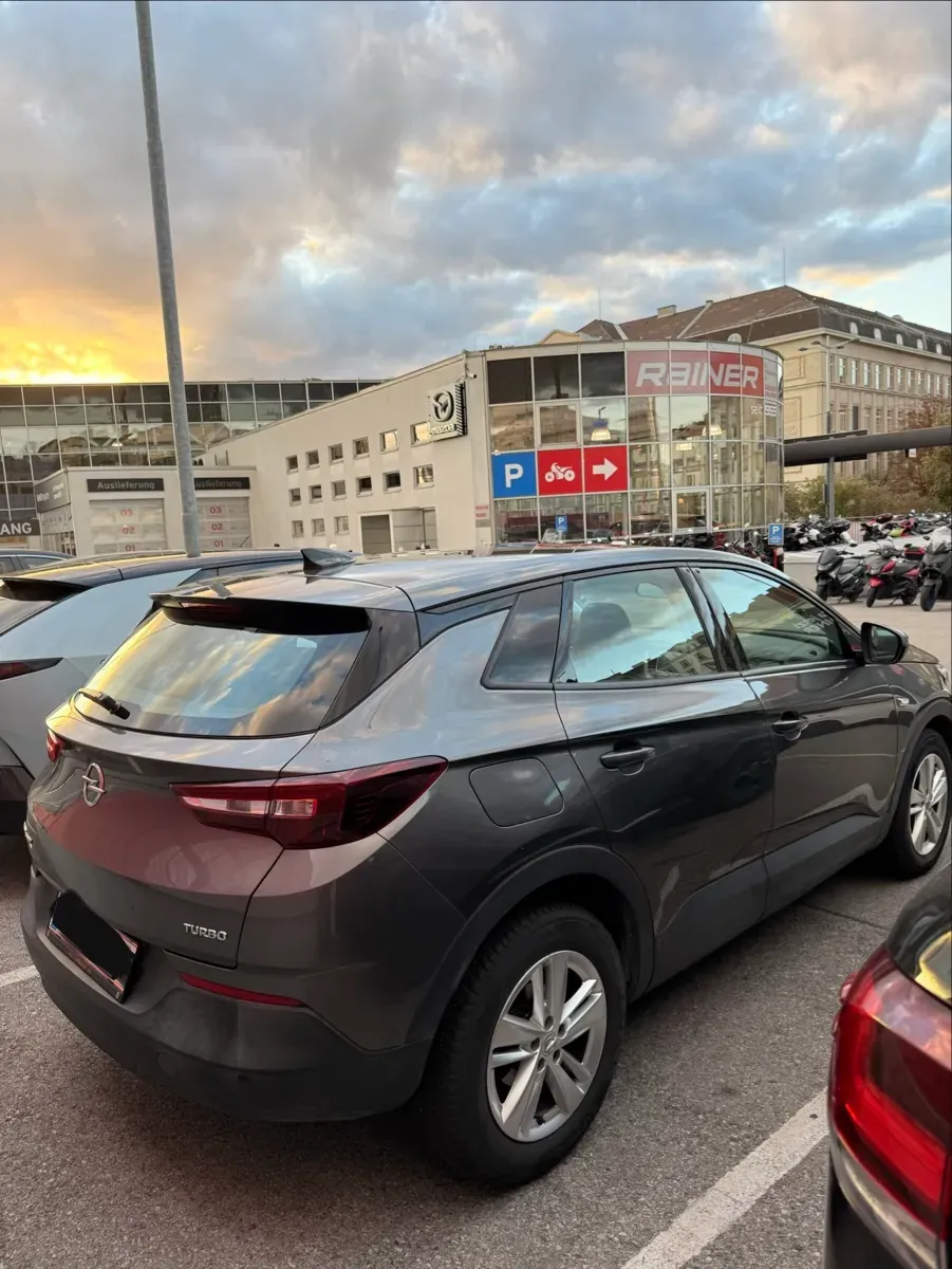 Opel Grandland X 2019 photo 3