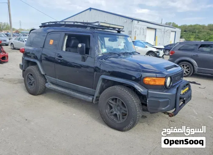 Toyota Fj 2011 photo 5
