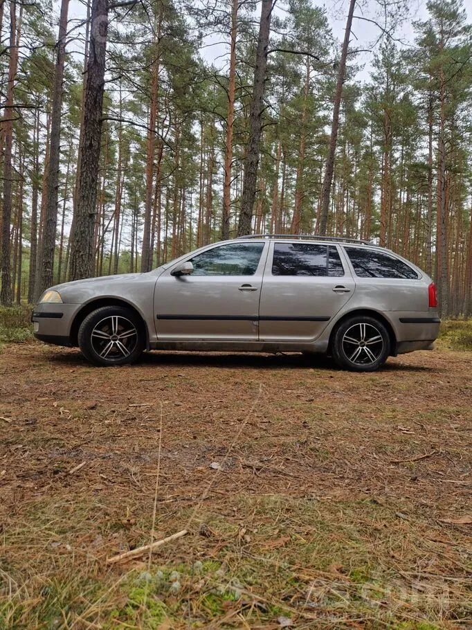 Skoda Octavia 2006 photo 2
