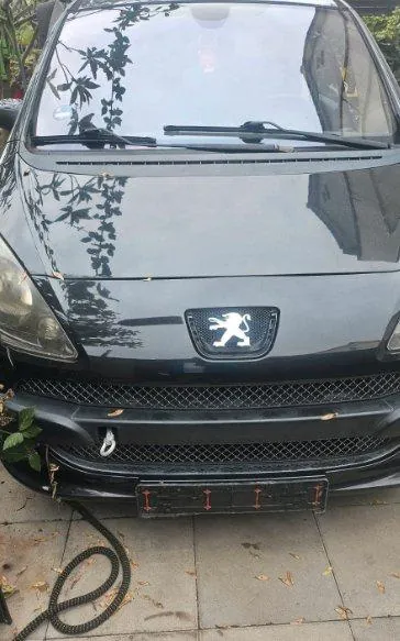 Peugeot 1007