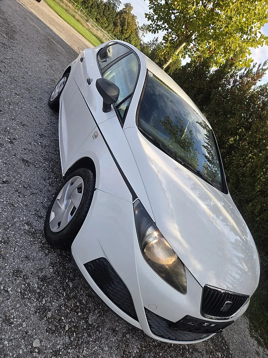 Seat Ibiza 2009 photo 2