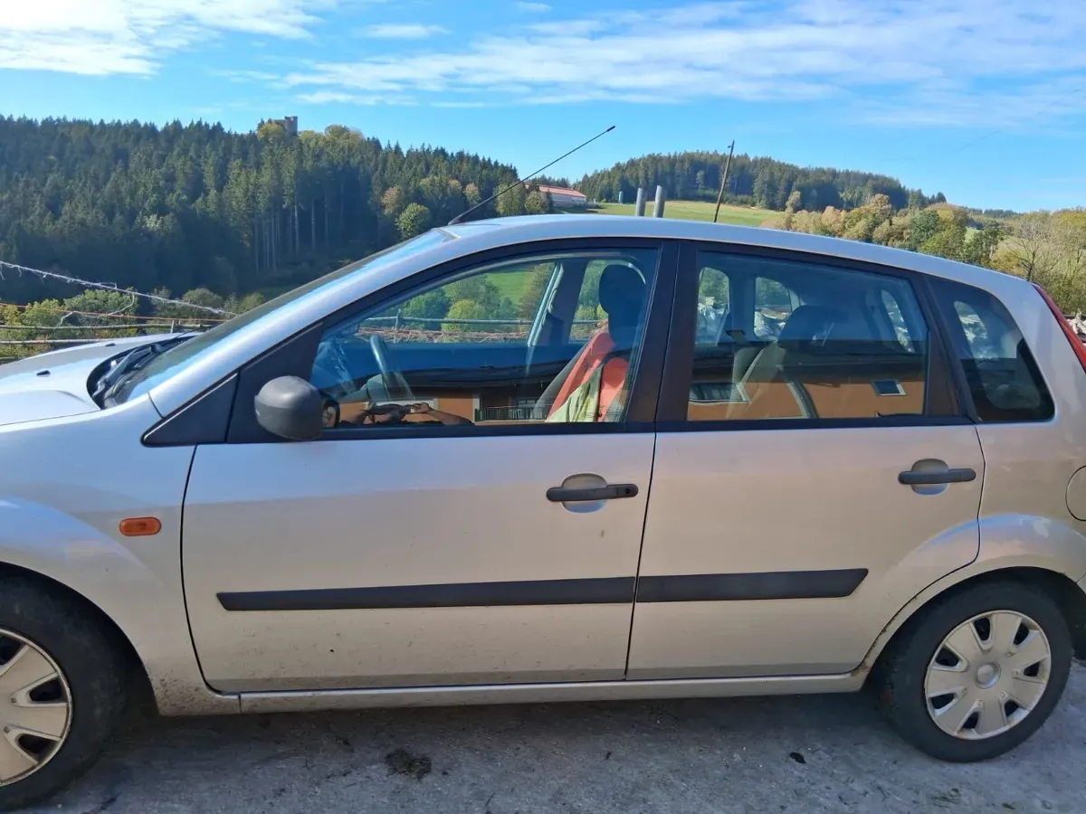 Ford Fiesta 2006 photo 3