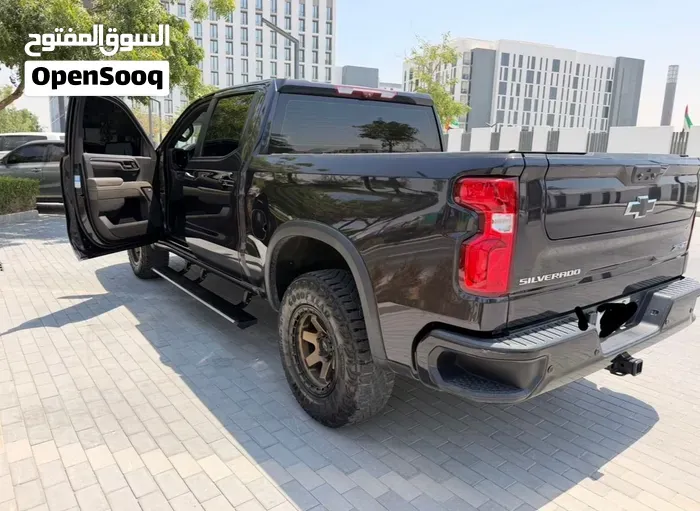 Chevrolet Silverado 2023 photo 2