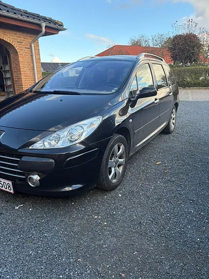 Peugeot 307 2008 photo 3