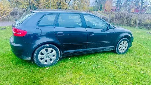 Audi A3 2009 photo 3