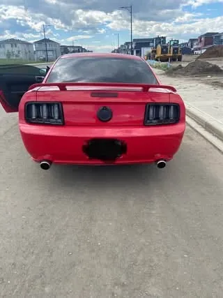 Ford Mustang 2005 photo 5