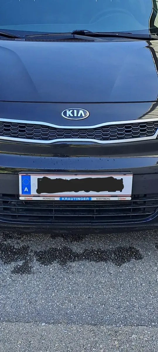 Kia Rio 2015 photo 3
