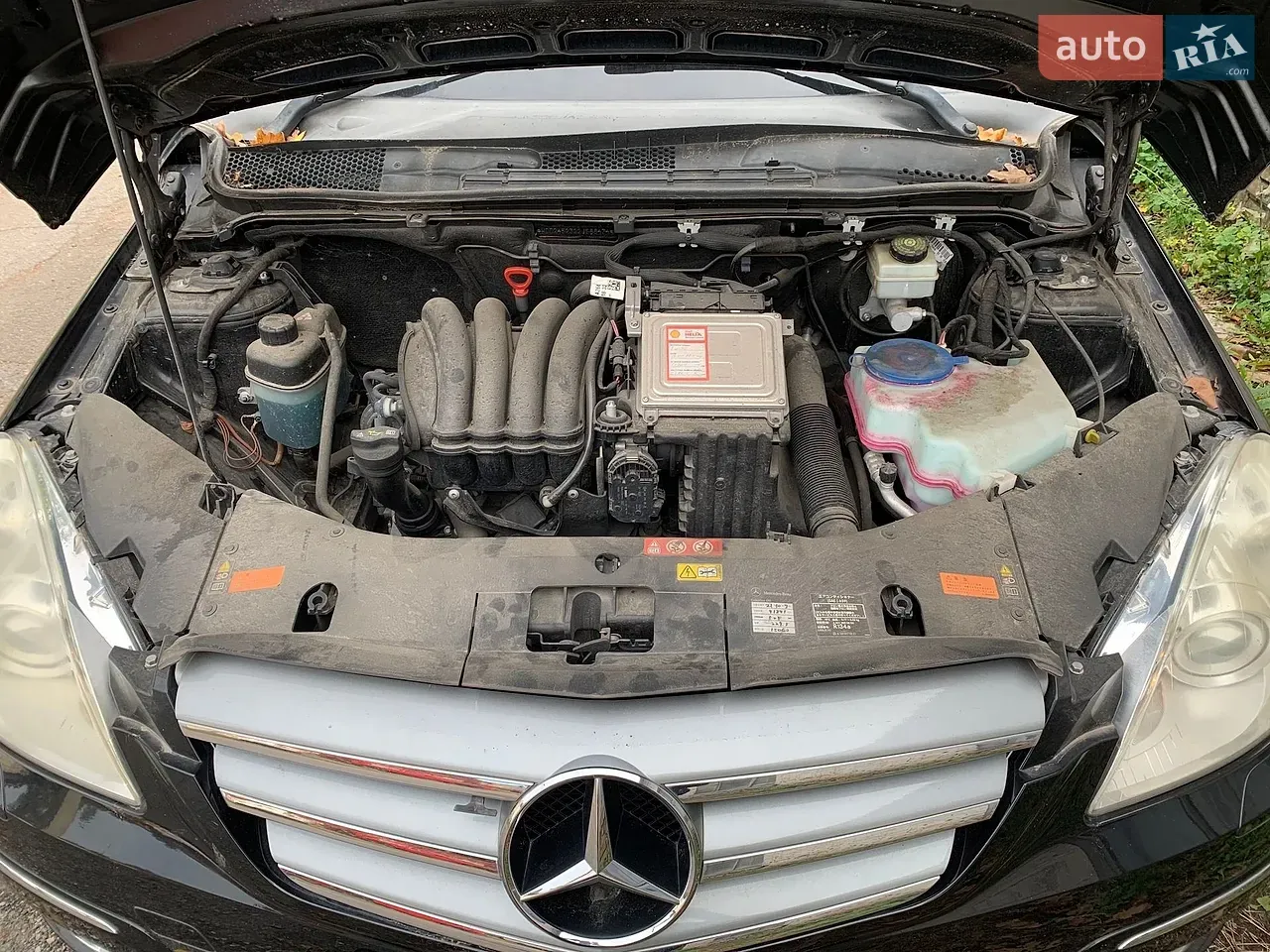 Mercedes-Benz B-Class 2010 photo 5