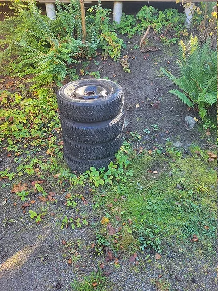 Ford Focus 2000 photo 4