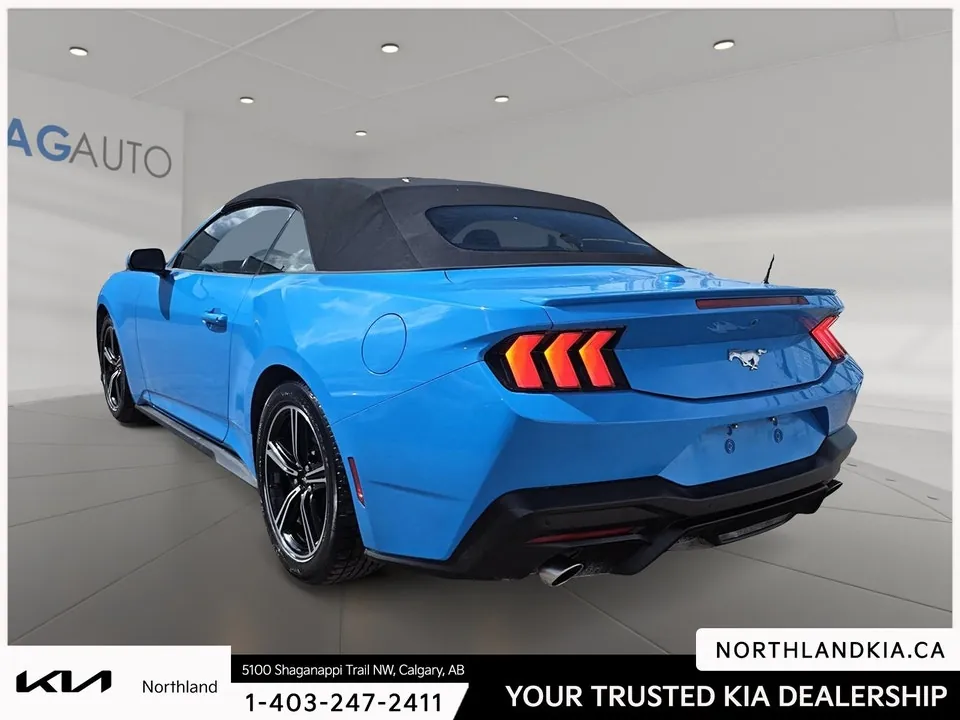 Ford Mustang 2025 photo 2