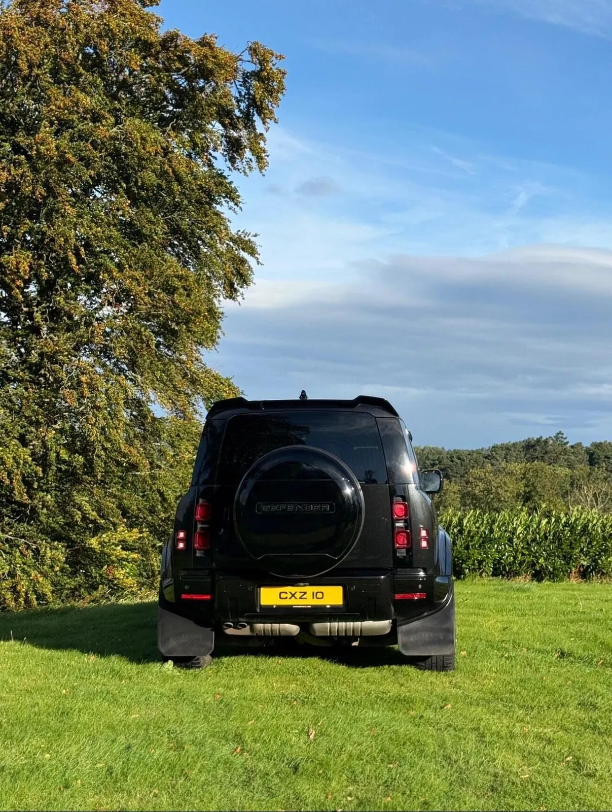 Land Rover Defender 110 2023 photo 5