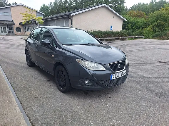 Seat Ibiza 2010 photo 2