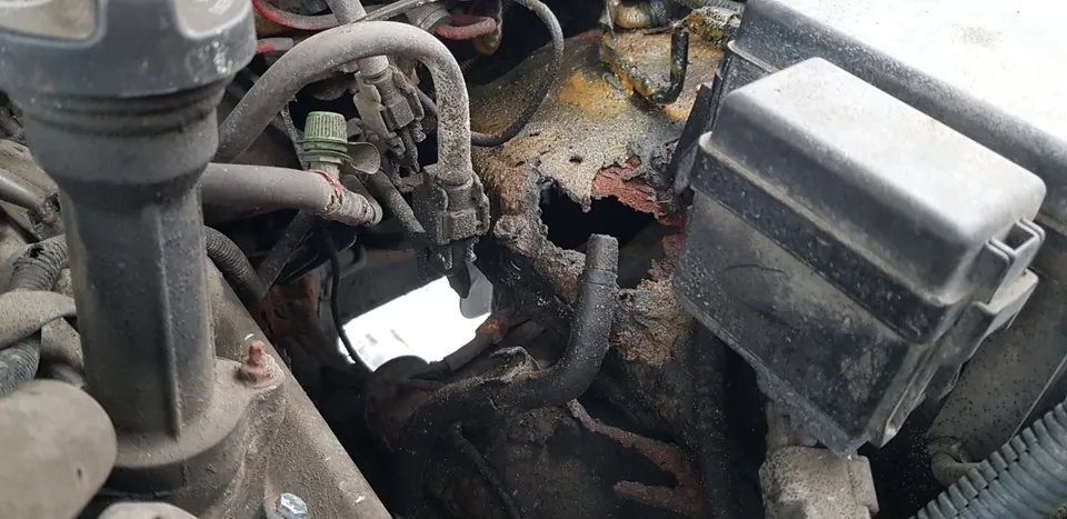 Toyota 4Runner 2003 photo 4