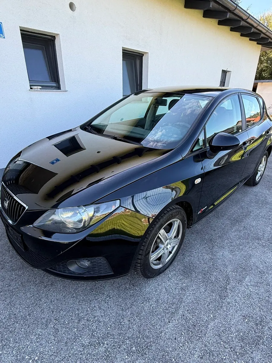Seat Ibiza 2011 photo 2