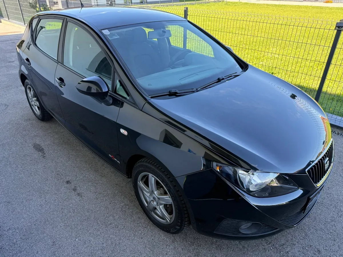 Seat Ibiza 2011 photo 3