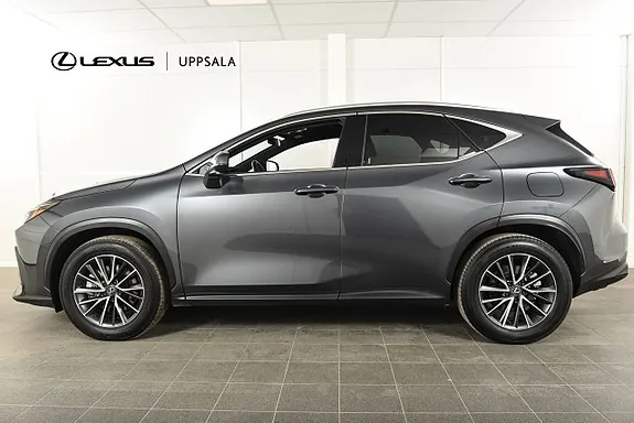 Lexus Nx450H+ 2024 photo 2