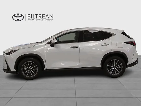 Lexus Nx450H+ 2023 photo 2