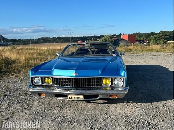 Chevrolet Caprice 1973 photo 2