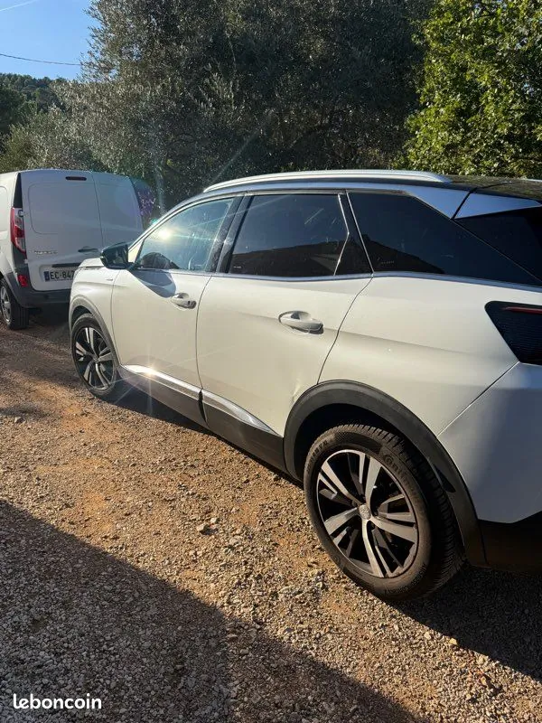 Peugeot 3008 2019 photo 2
