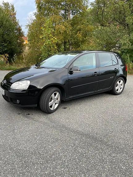 Volkswagen Golf V 2008 photo 2