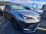Lexus Nx 2022 photo 2