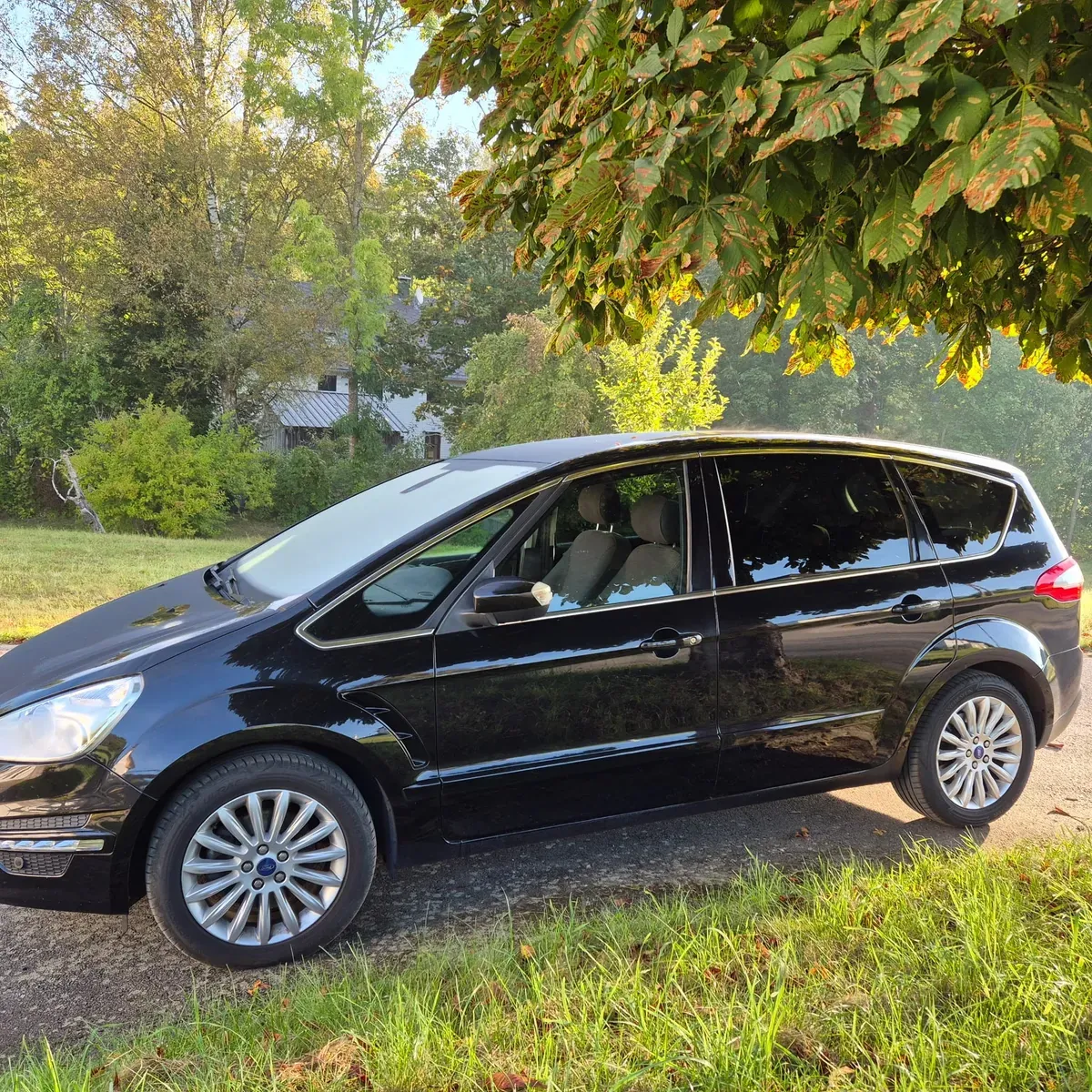 Ford S-Max 2013 photo 3