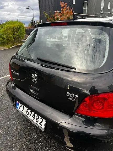 Peugeot 307 2007 photo 2
