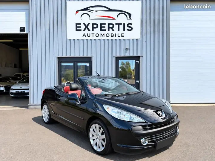 Peugeot 207 2007 photo 5