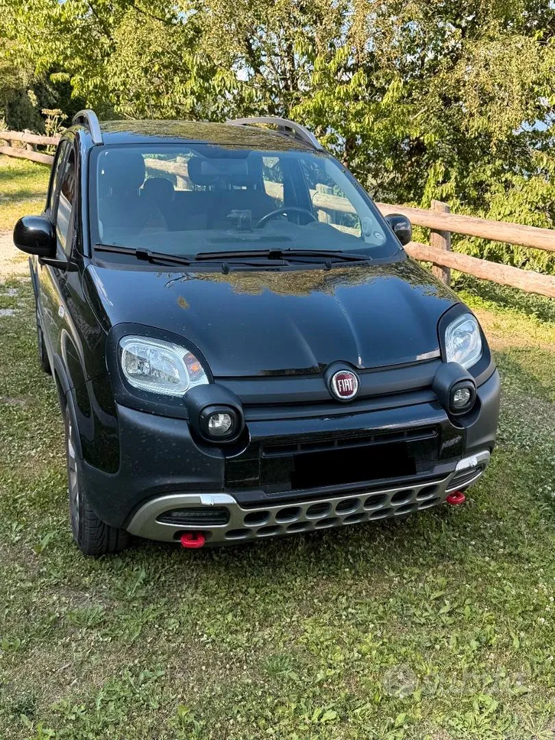 Fiat Panda Cross 2019 photo 2
