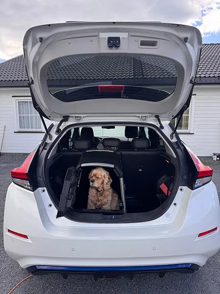 Nissan Leaf 2018 photo 5