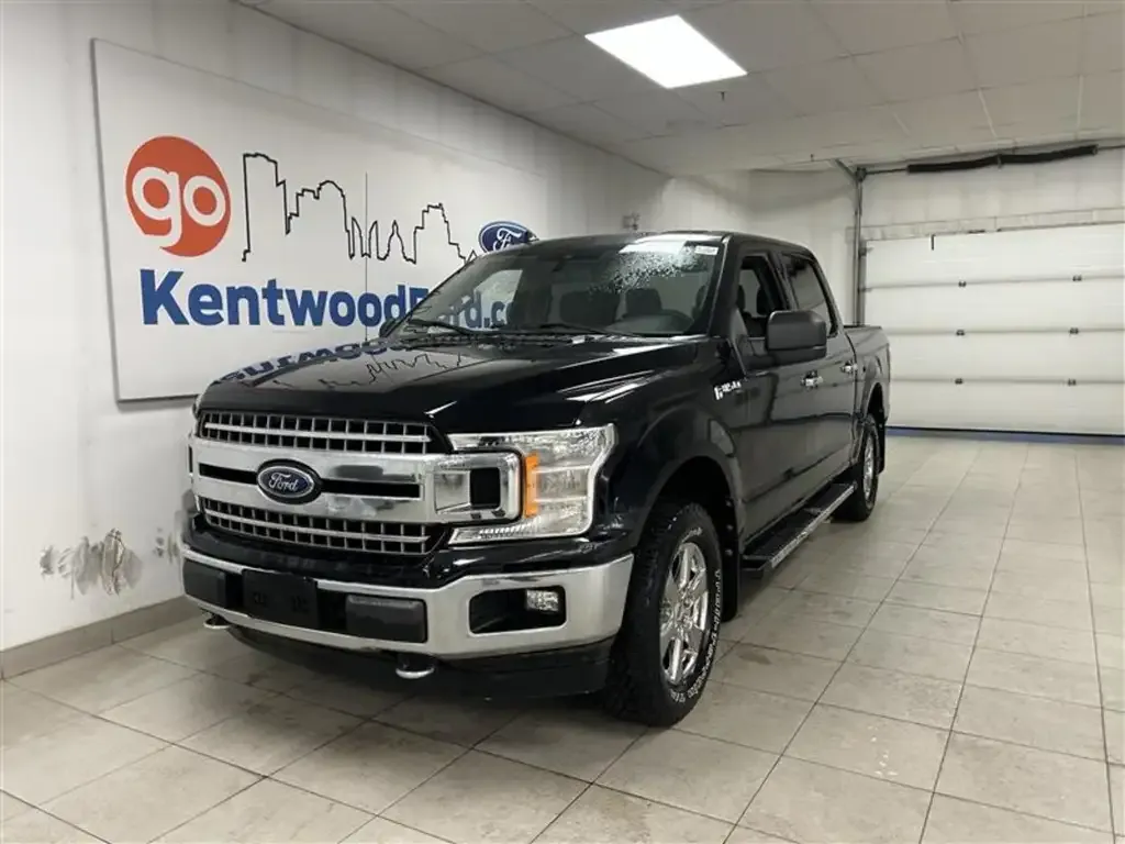 Ford F-150 2019 photo 3
