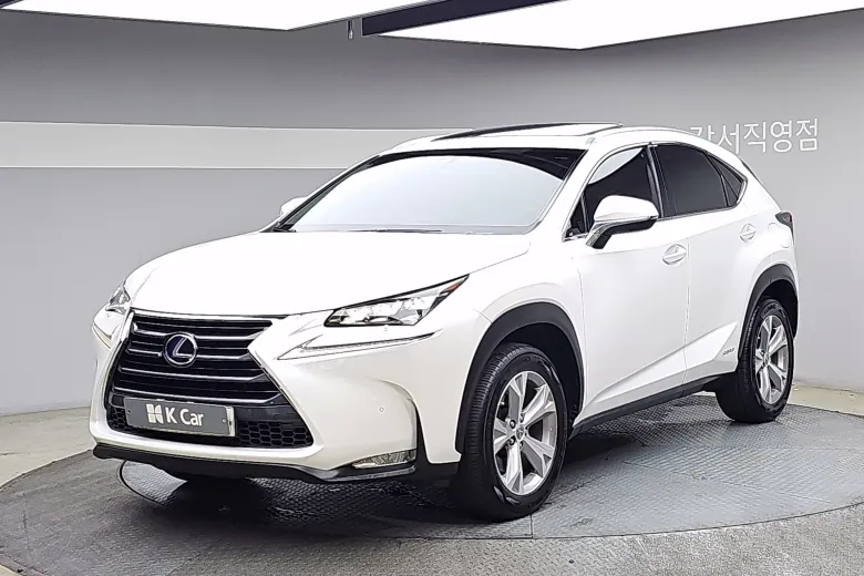 Lexus Nx300H