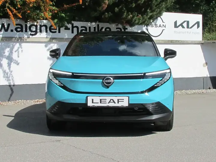 Nissan Leaf photo 2
