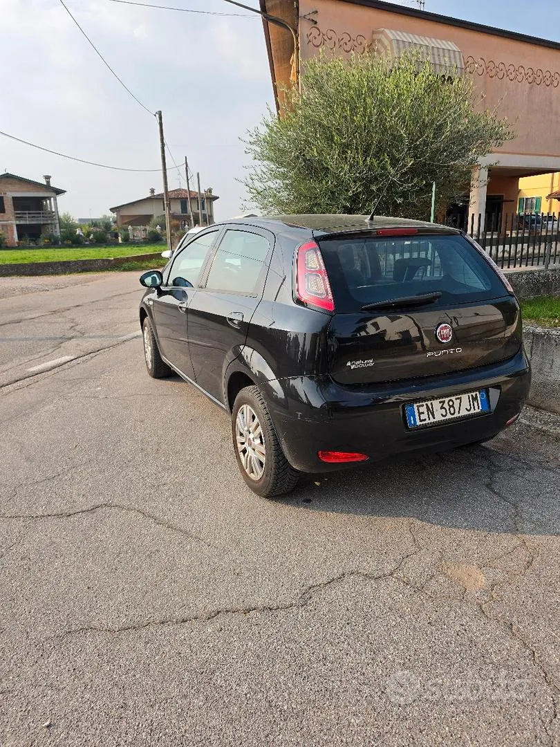 Fiat Punto 2013 photo 3