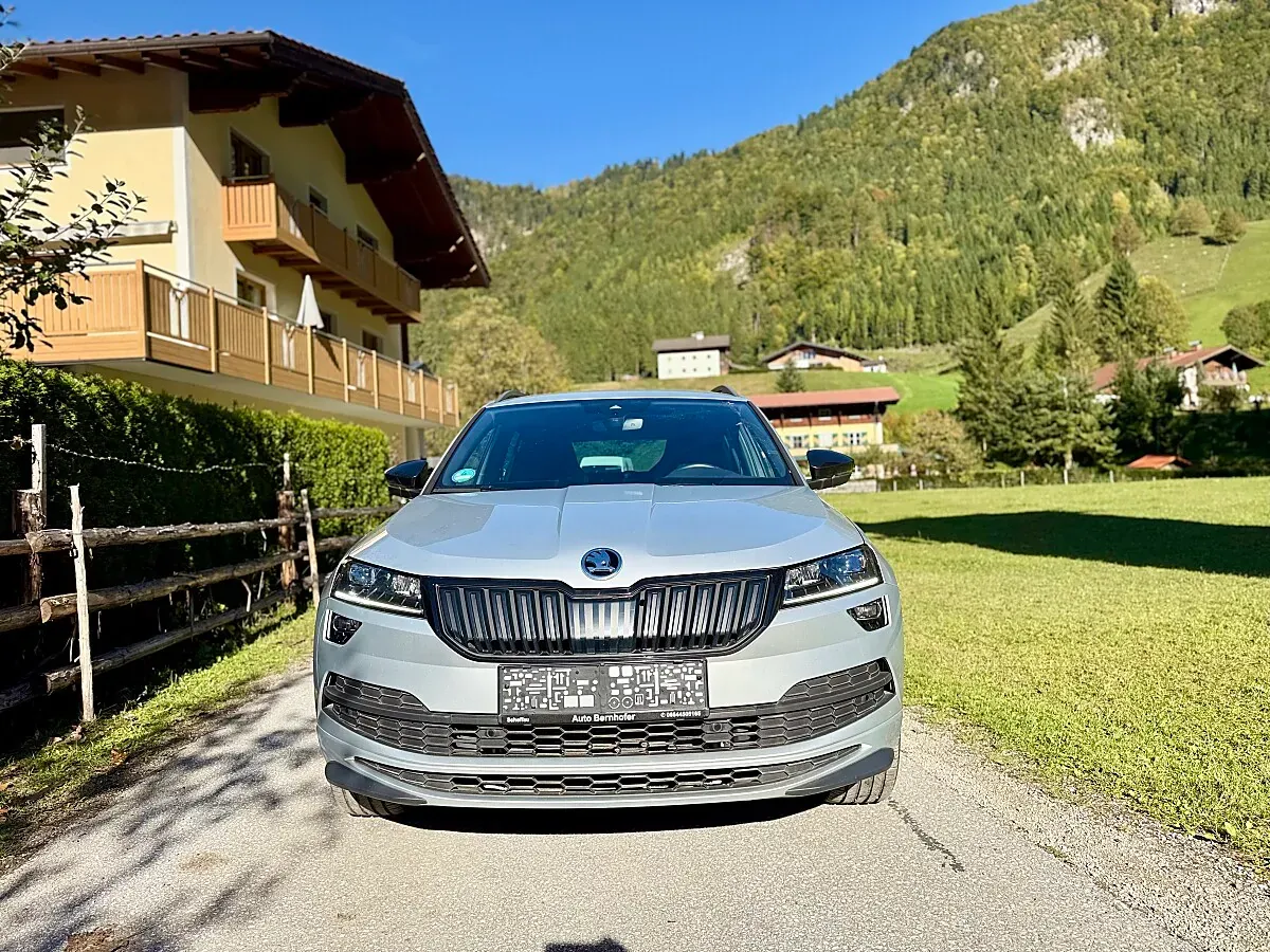 Skoda Karoq 2020 photo 3