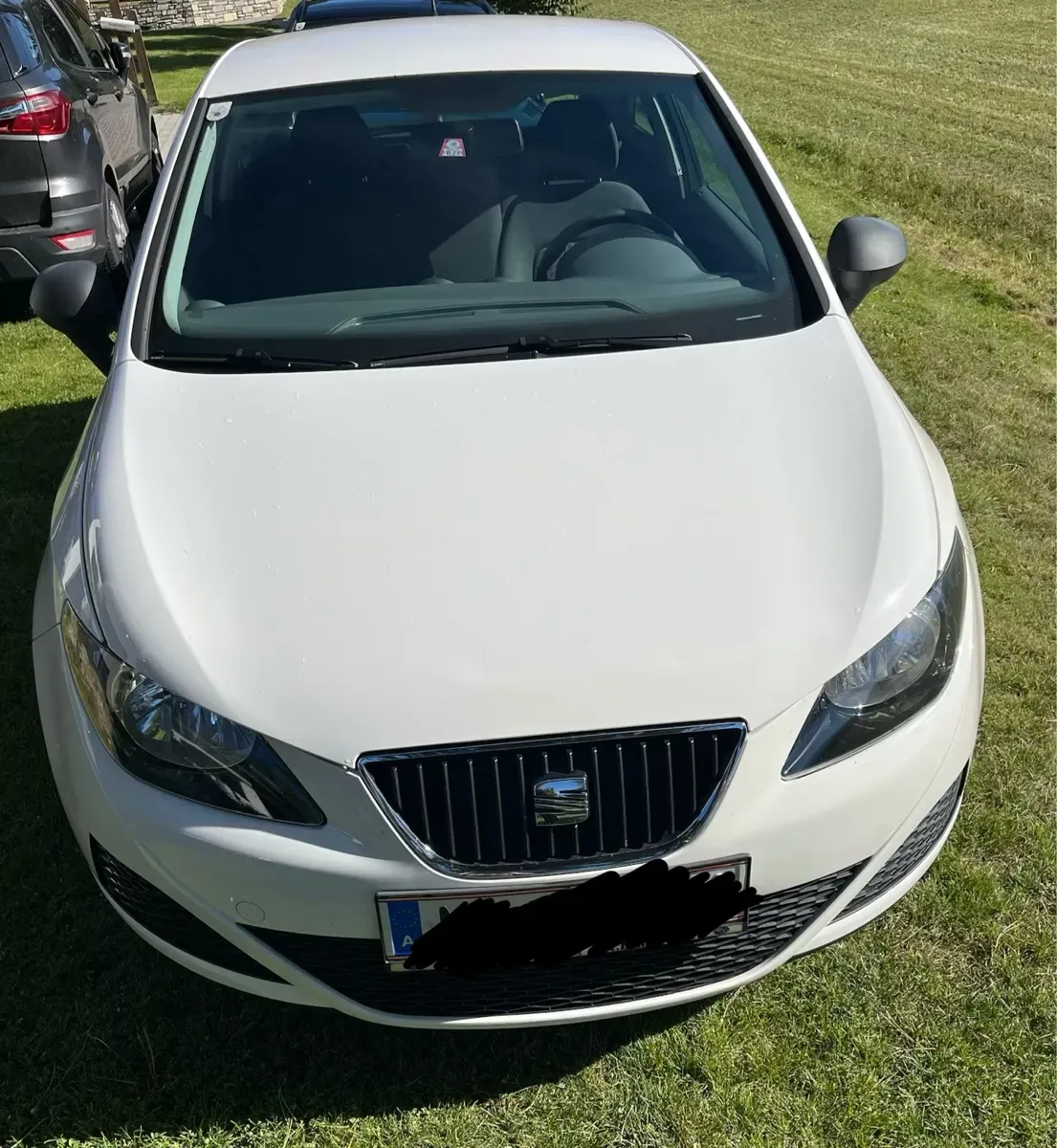 Seat Ibiza 2010 photo 2