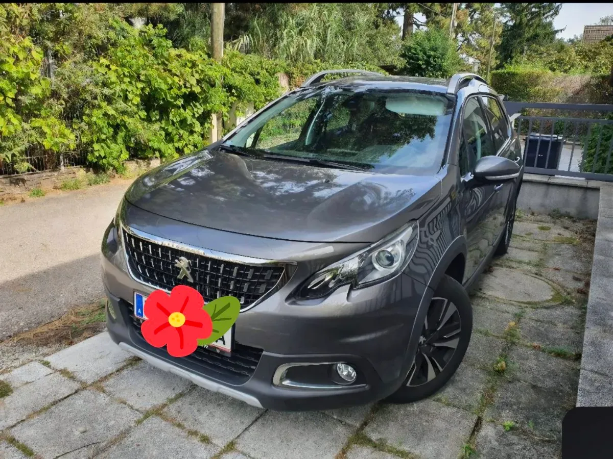 Peugeot 2008 2018 photo 2