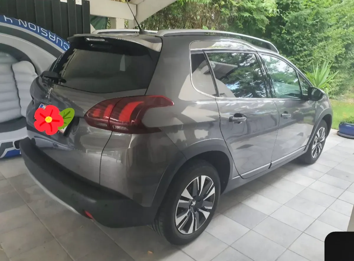 Peugeot 2008 2018 photo 3