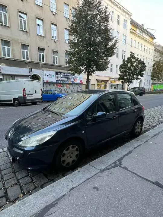 Peugeot 307 2007 photo 2