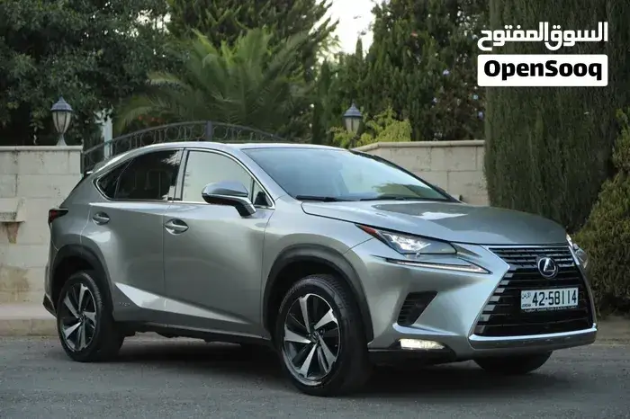 Lexus Nx 300H 2020 photo 2