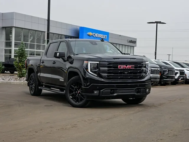 GMC Sierra 1500 2024 photo 2