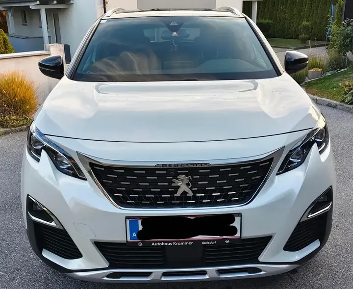 Peugeot 3008 2018 photo 2