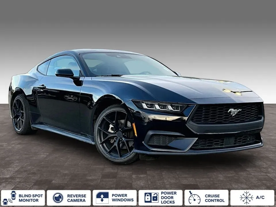 Ford Mustang 2025 photo 2