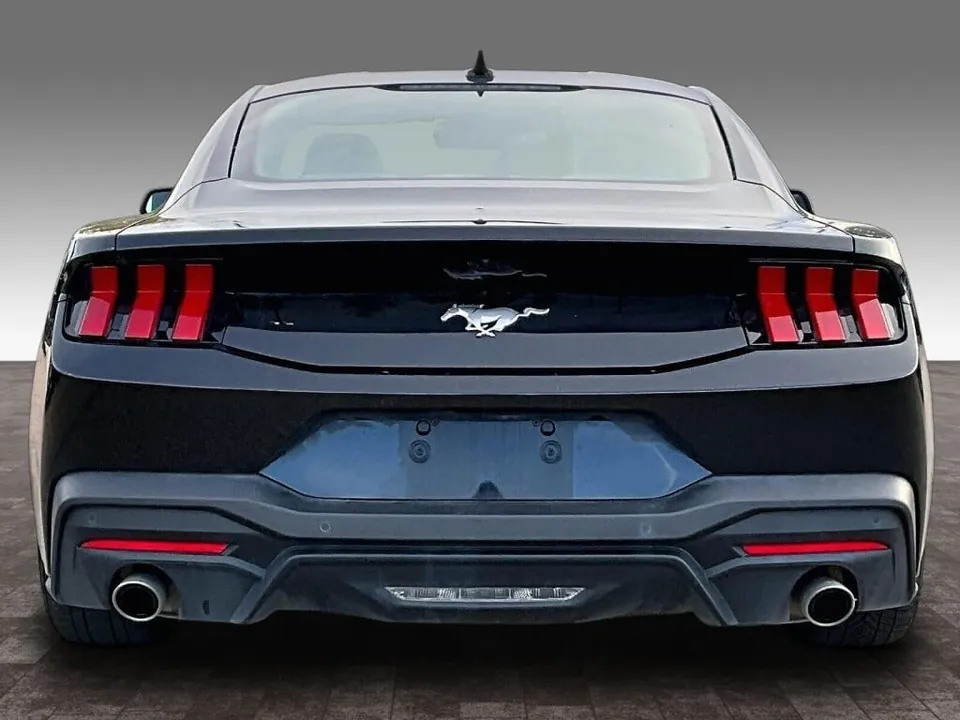 Ford Mustang 2025 photo 4