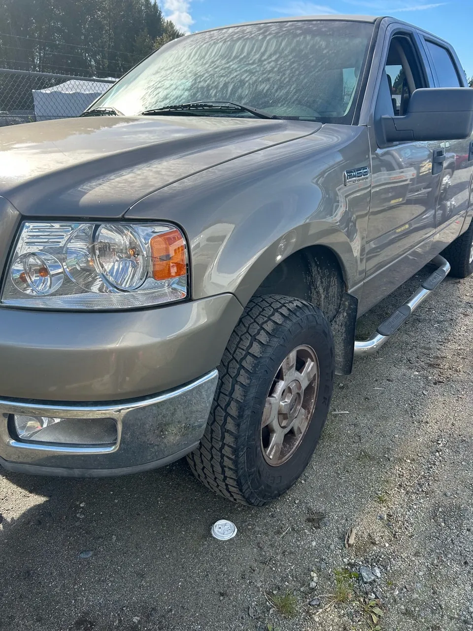 Ford F-150 2004 photo 2
