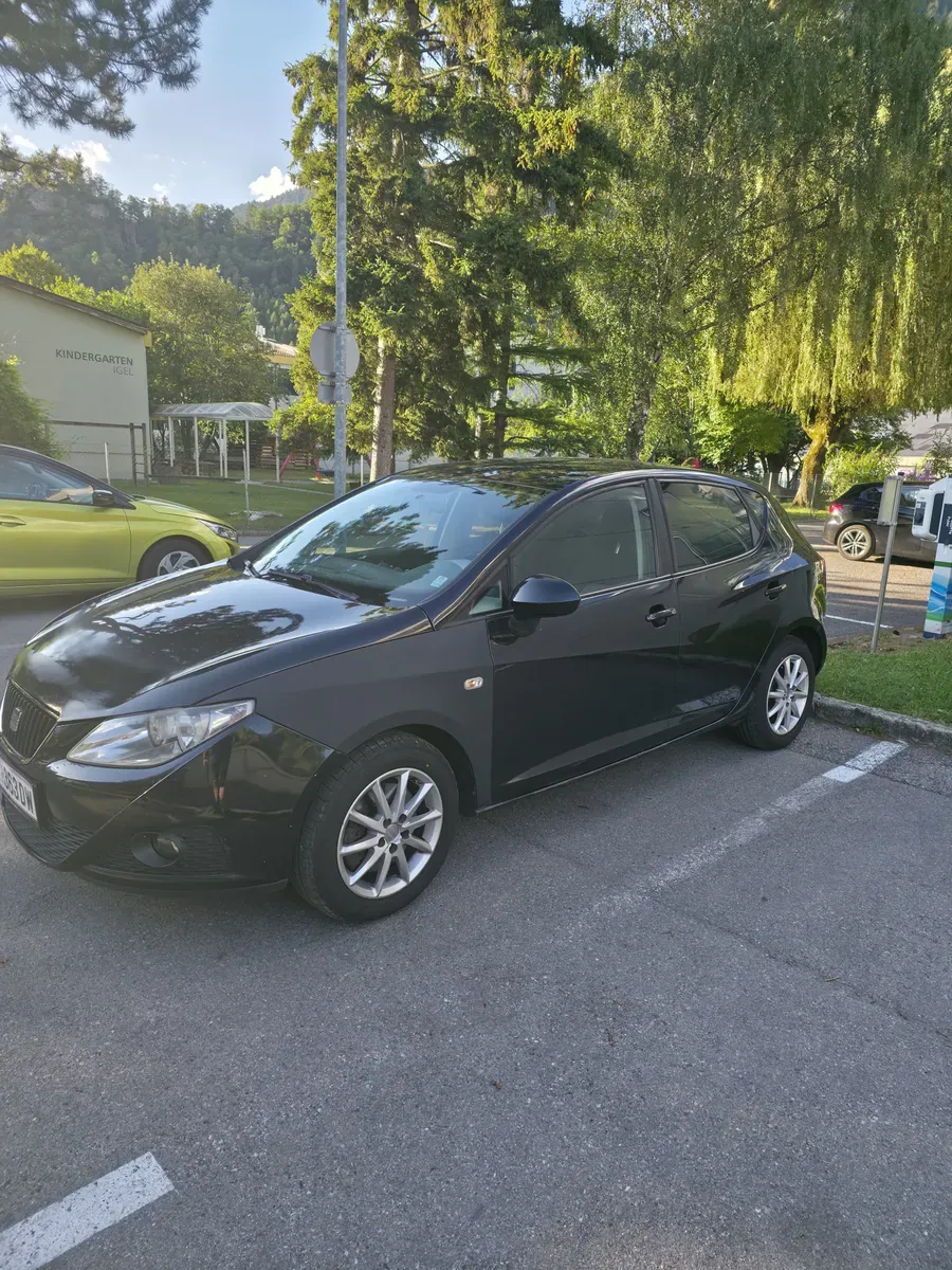 Seat Ibiza 2011 photo 3