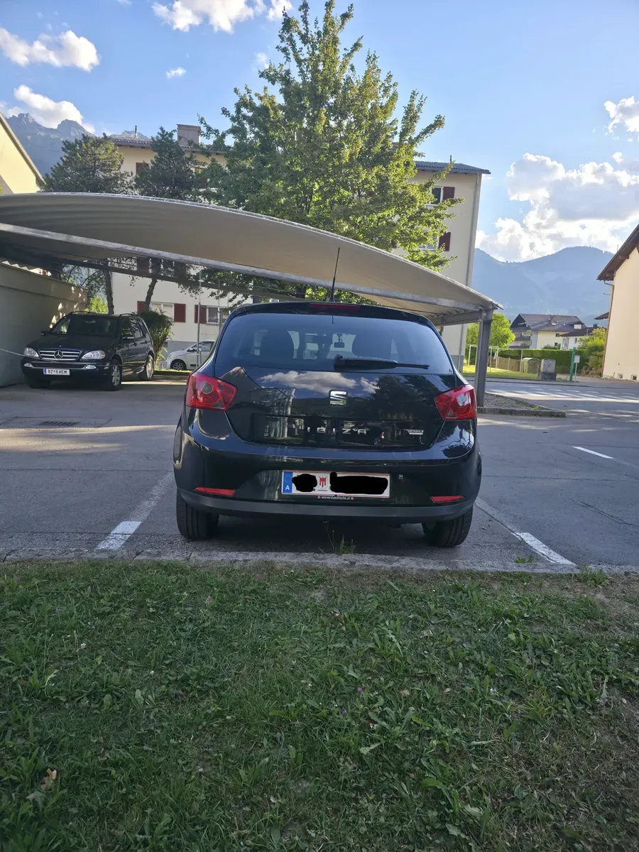 Seat Ibiza 2011 photo 2