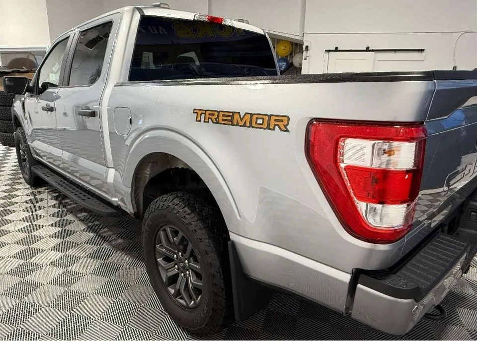 Ford F-150 2022 photo 3