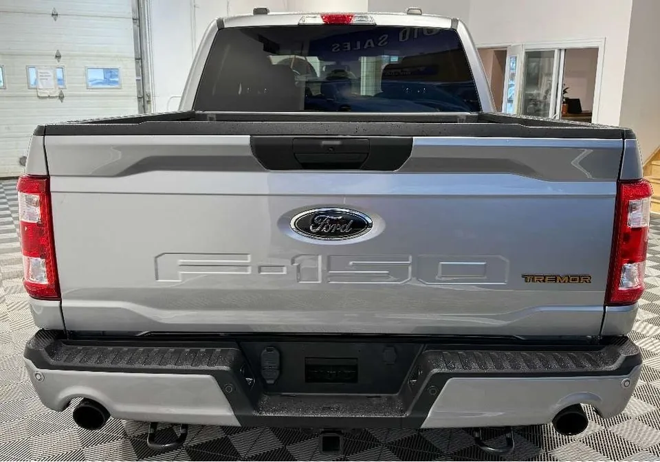 Ford F-150 2022 photo 4