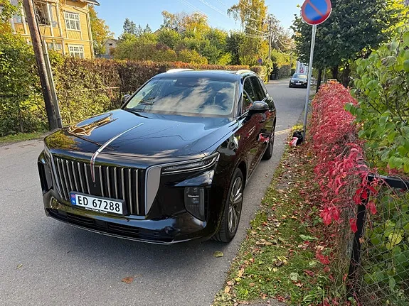 Hongqi E-Hs9